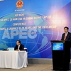 Vietnam's 20-year APEC membership and the path ahead
