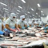 Increasing Tra fish exports to over 2 billion USD