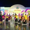 Various activities mark Vietnam Heritage Day