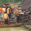 Efforts to overcome flood consequences in Nghe An