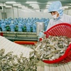 Future prospects of the shrimp by product sector in Vietnam
