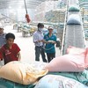 Vietnam to host World Rice Conference in October