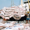 Difficulties awaits Vietnam's rice exports at year-end