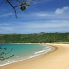 Vietnam beach rated among top ten eco-friendly beaches