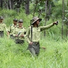 Vietnam, Laos cooperate in forestry law enforcement