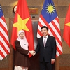 Vietnam-Malaysia strategic partnership achieves significant progress