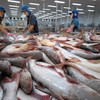 Global market beneficial to Vietnamese tra fish