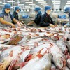Challenges for tra fish exports to China