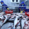 Catfish price reach highest level in 20 years
