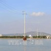 Cồn Chim islet now connected to national power grid
