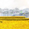 Crystal cloud light exhibition on terraced field in Mu Cang Chai