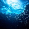 Explorers on mission to bottom of five oceans
