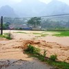 Flood deals heavy damages to Dien Bien