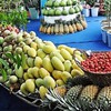 Fruit festival opens in Ben Tre province
