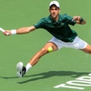 Djokovic advances in Toronto as del Potro withdraws
