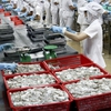 Vietnam’s seafood exports hit US$6.4 billion in first nine months