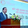 Promoting domestic and overseas Vietnamese business links