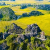“Yellow Tam Coc - Trang An” boosts Ninh Binh tourism