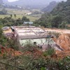 Urgent evacuation from landslide