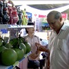 Fair to promote agro-products of the South Central region
