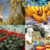 Opportunities for Vietnamese goods in foreign markets