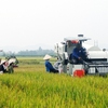 Improved logistic activities foster agro-produce exports