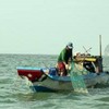 VN seafood mulls action on EU warning