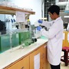 HCM City students find way to grow spirulina at home