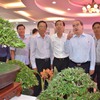HCM City plumps for co-operative model to develop agriculture