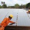 Cần Thơ puts focus on solar power