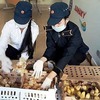 Police seize 1,300 unclear-origin poultry in Nghệ An