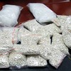Major drug trafficking bust in northern province