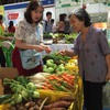 HCM City expands safe food supply chains