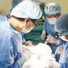 Xuyên Á becomes 1st private hospital in HCM City to do kidney transplant