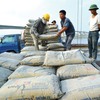 Domestic cement consumption up, export rises sharply