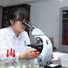 Việt Nam wins gold at 2018 International Biology Olympiad