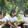 First bilingual education system debuts in Đà Nẵng