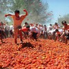 Thousands of party-goers throw tons of tomatoes at Spanish festival