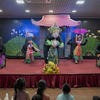Vietnamese water puppet show performed in Russia