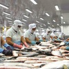 Vietnam complains to WTO about U.S fish tariffs