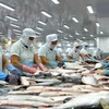 Vietnam's largest Tra fish importer