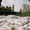Vietnam hosts world conference on rice exports