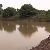 Landslide continues in Mekong Delta