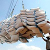 Vietnamese rice prices surge