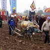 Tich Dien ceremony and hope for bumper crops