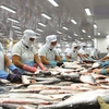 Vietnam's seafood sector successfully reverses U.S' anti-dumping duty
