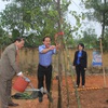 Quang Tri launches tree-planting festival