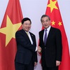 Foreign Ministers of Vietnam and China hold talks in Laos