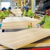 Opportunities for Vietnamese wood industry