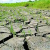 Vietnam pursues policies on climate change adaptation